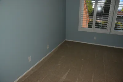 DSC_7363 (Large).JPG